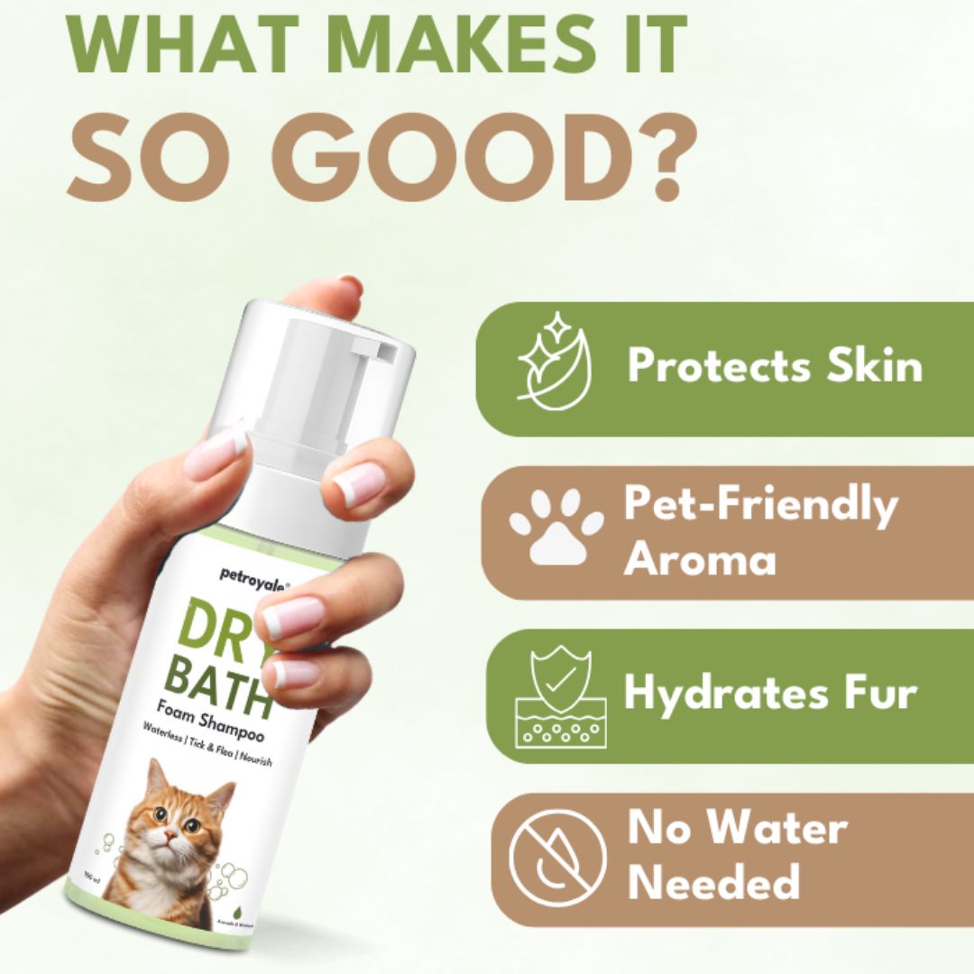 Petroyale Dry Bath Foam Shampoo for Cats