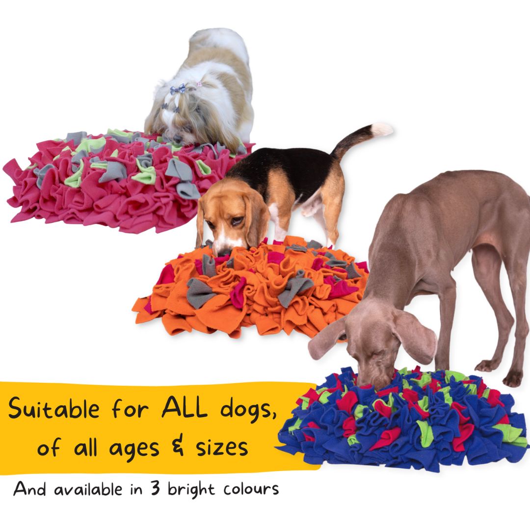 For The Love Of Dog Enrichment Toy for Dogs Sniffer Mat