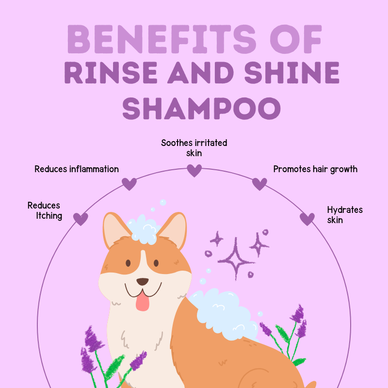 Happy Puppy Organics Rinse n Shine Shampoo for Dogs