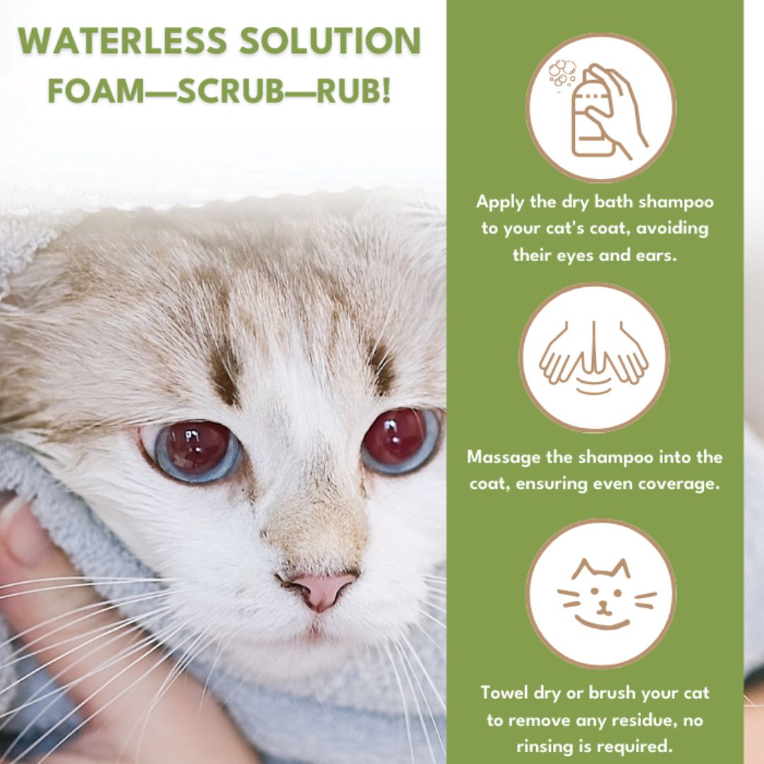 Petroyale Dry Bath Foam Shampoo for Cats