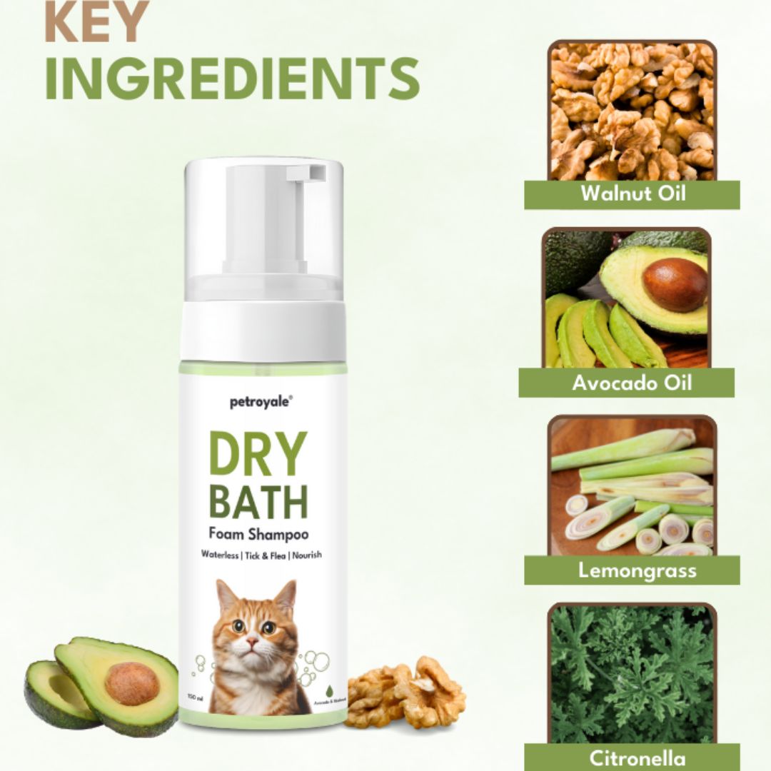Petroyale Dry Bath Foam Shampoo for Cats