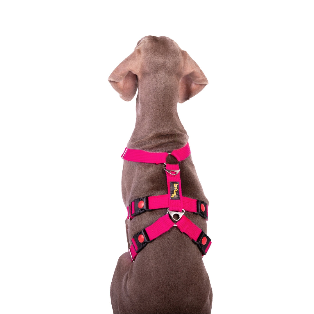 Let’s Wag Double H-Harness for Dogs