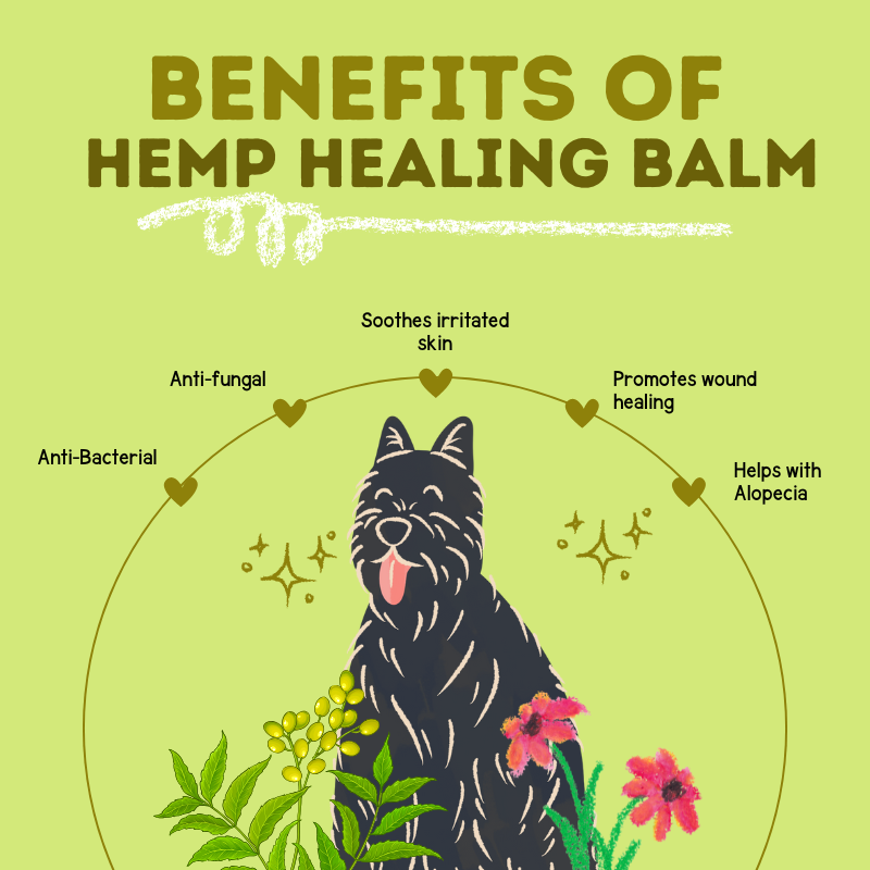 Happy Puppy Organics Hemp Healing Balm for Dogs - 50g