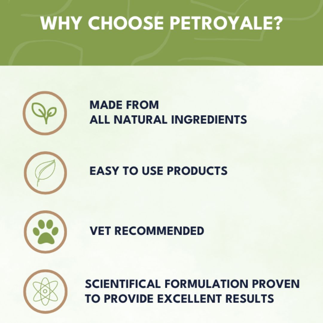Petroyale Dry Bath Foam Shampoo for Cats