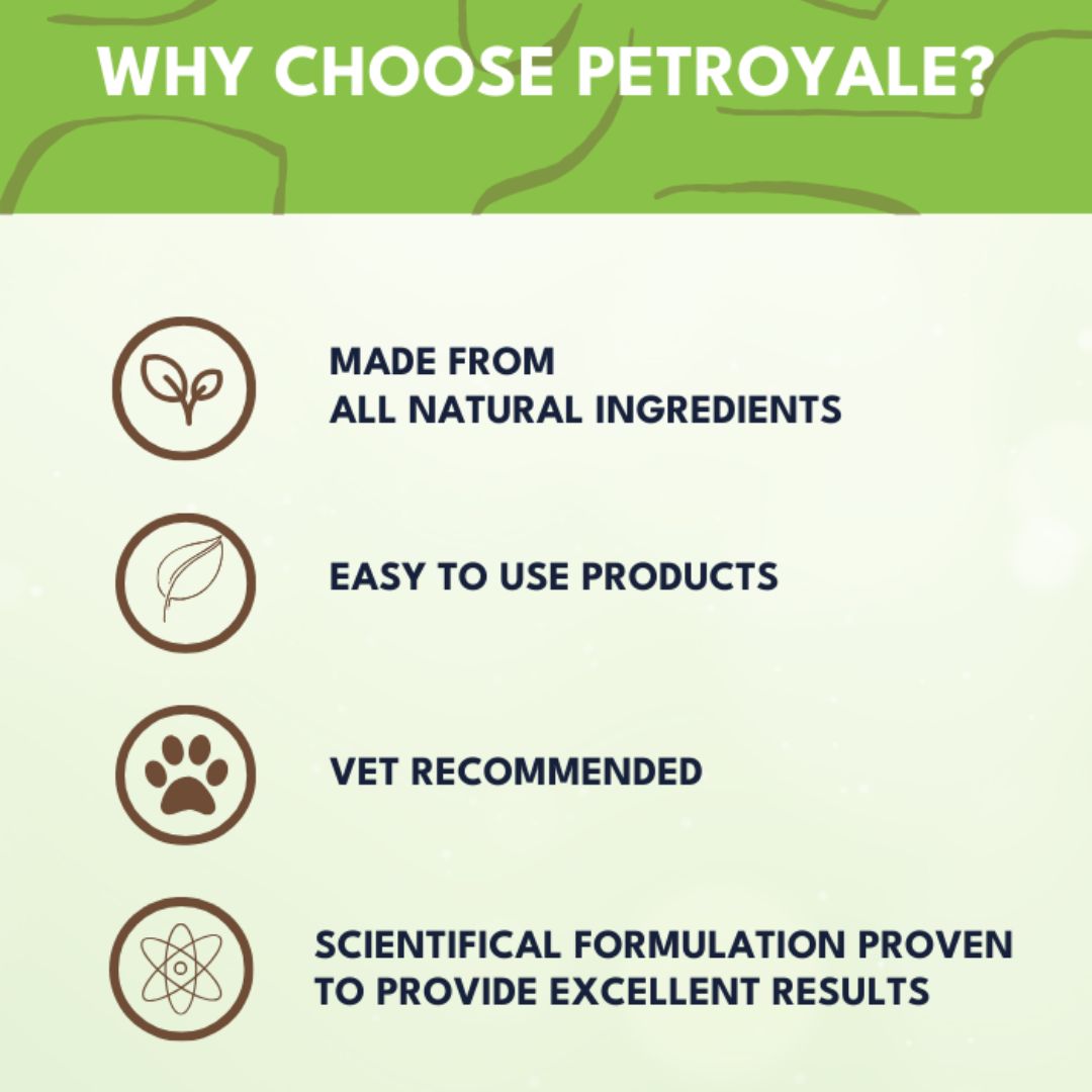 Petroyale Paw Cleanser for Dogs