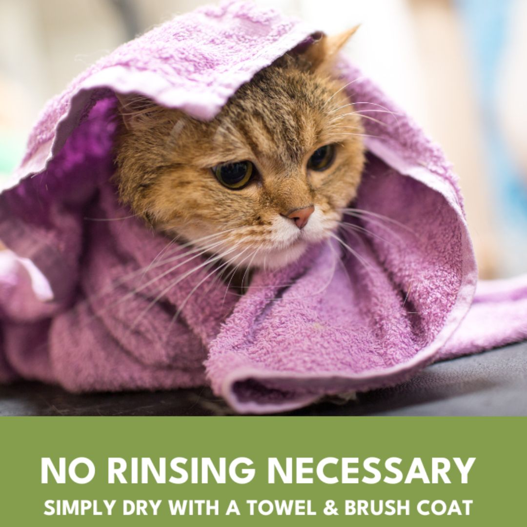 Petroyale Dry Bath Foam Shampoo for Cats