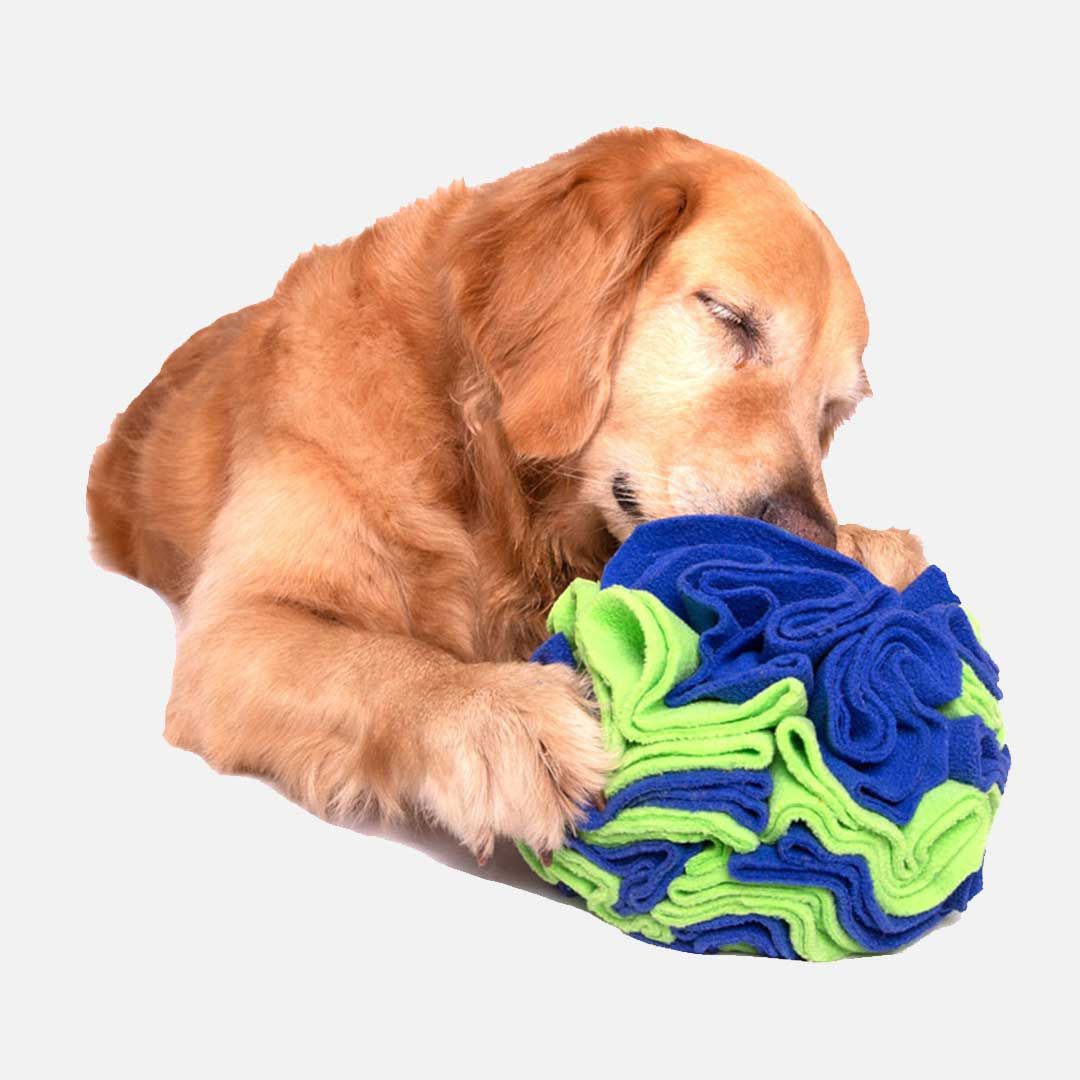 For The Love Of Dog Enrichment Toy for Dogs Sniffer Ball