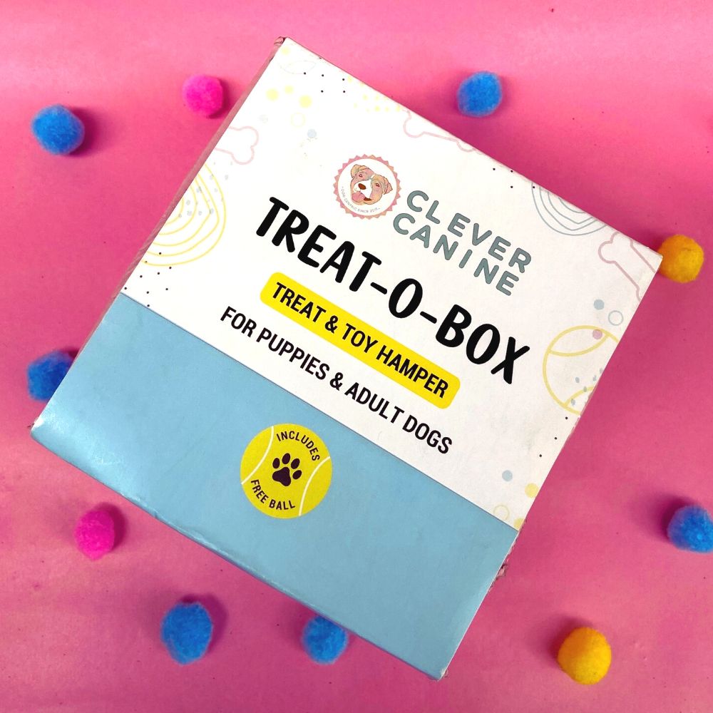 Clever Canine Treat-O-Box for Dogs