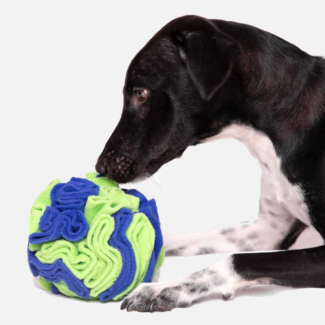 For The Love Of Dog Enrichment Toy for Dogs Sniffer Ball