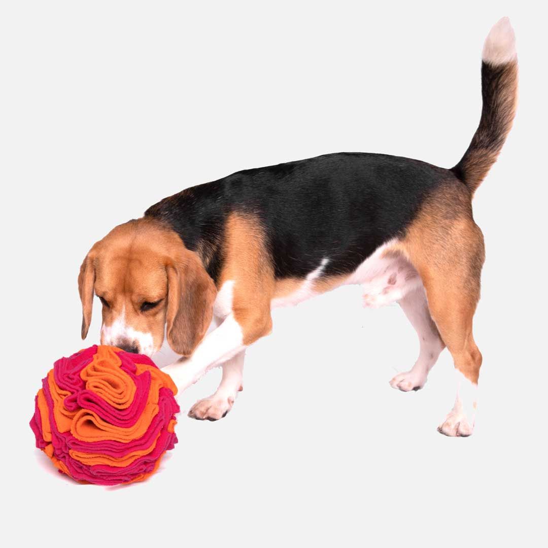 For The Love Of Dog Enrichment Toy for Dogs Sniffer Ball