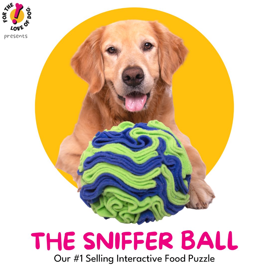 For The Love Of Dog Enrichment Toy for Dogs Sniffer Ball