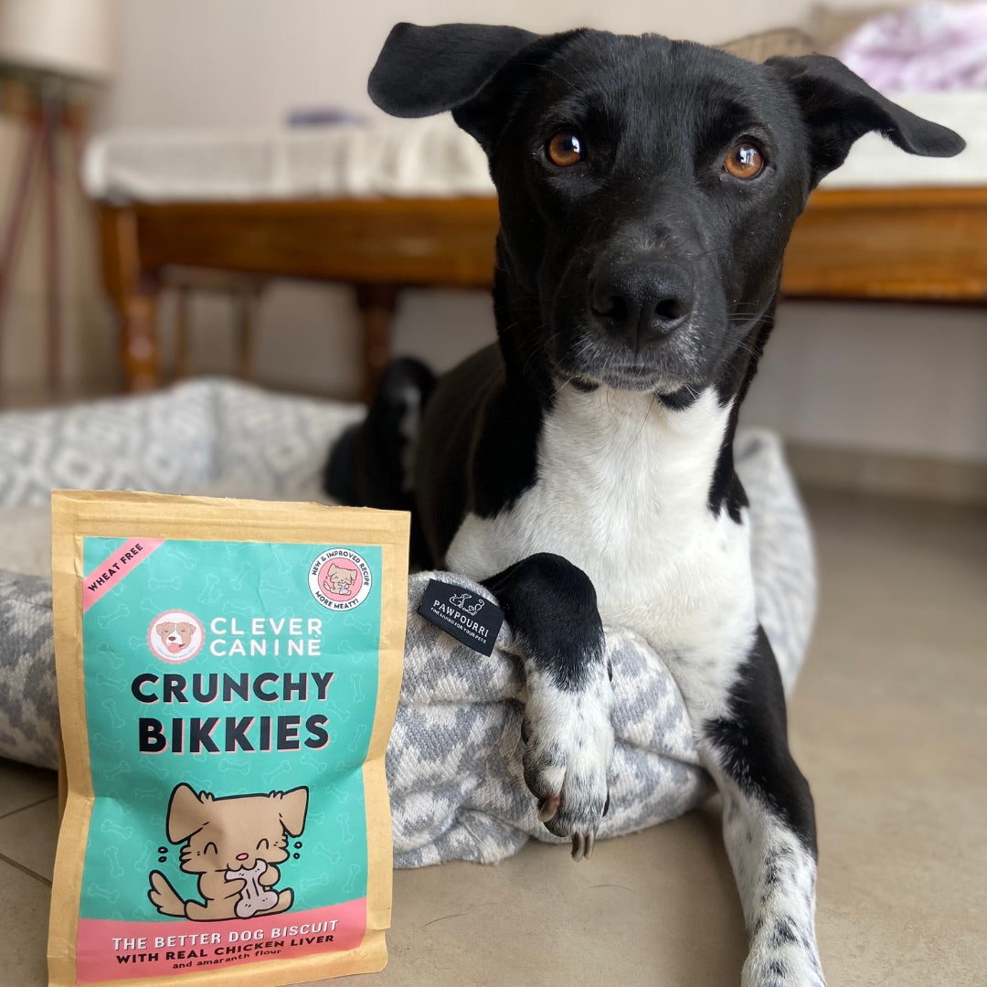Clever Canine Crunchy Bikkies Combo for Dogs - Pack of 2