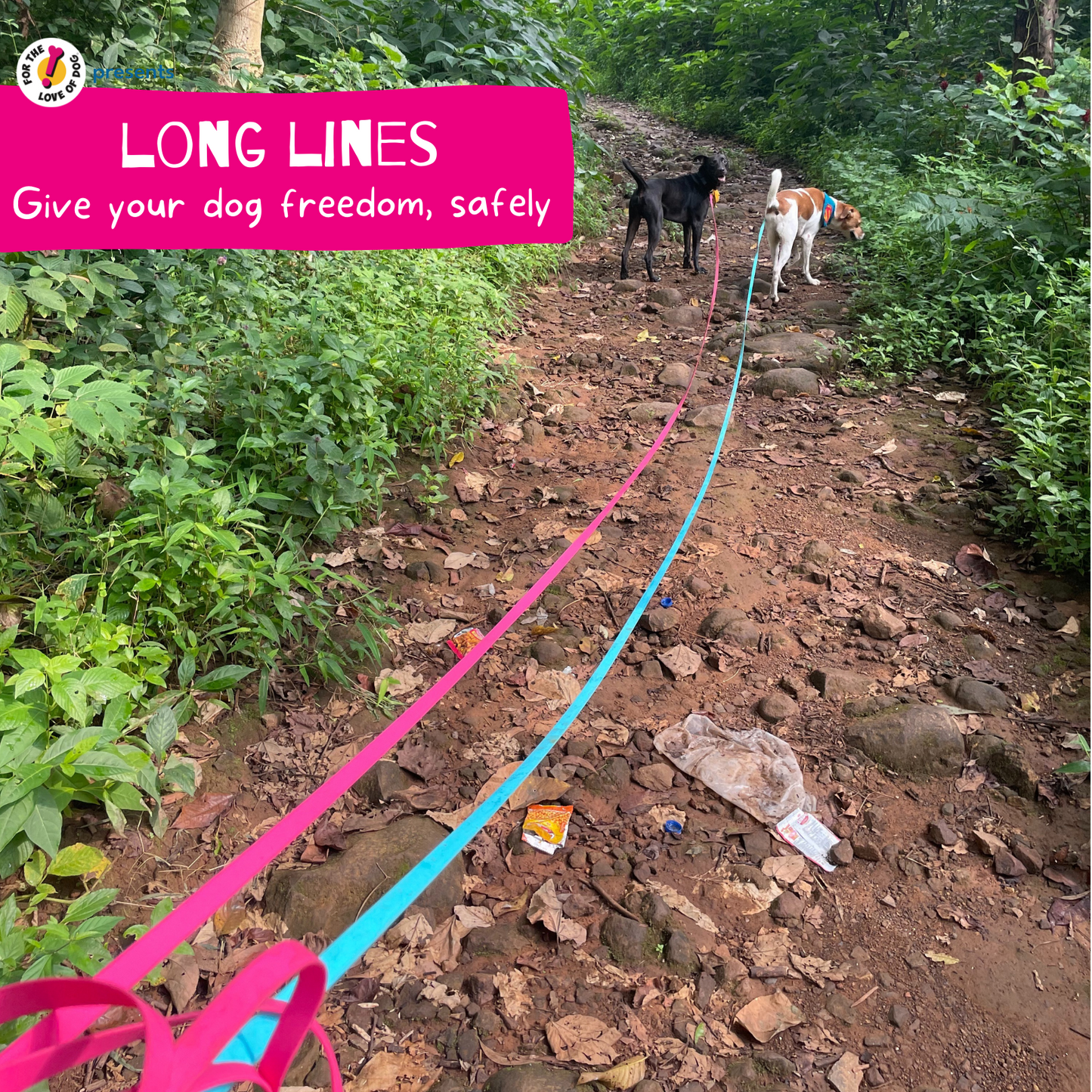 For The Love Of Dog Long Line Leashes for Dogs