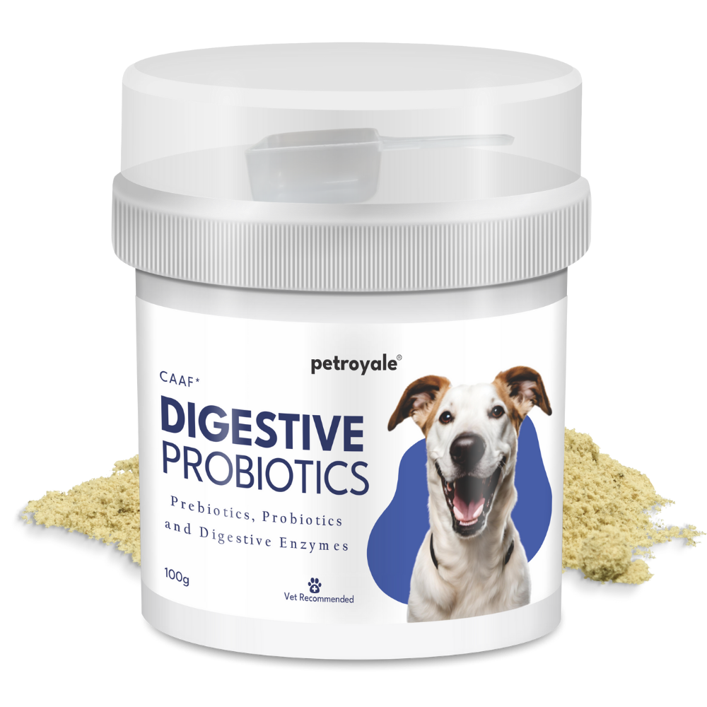Petroyale Digestive Probiotics for Dogs