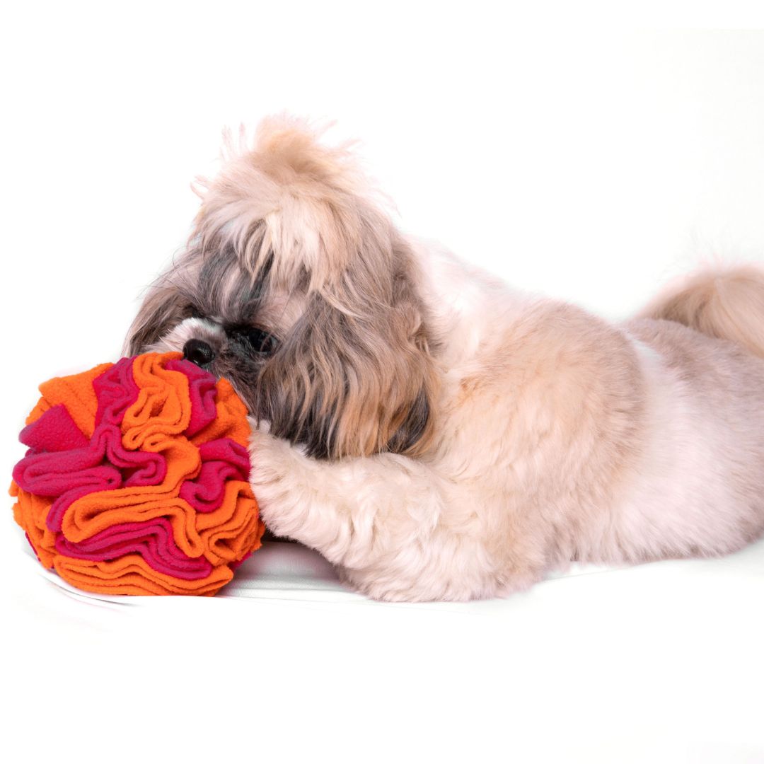 For The Love Of Dog Enrichment Toy for Dogs Sniffer Ball
