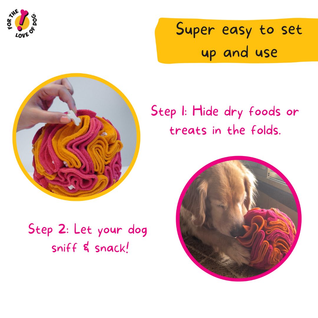For The Love Of Dog Enrichment Toy for Dogs Sniffer Ball