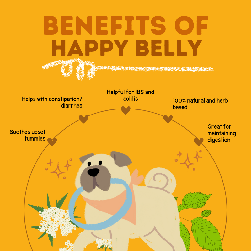Happy Puppy Organics Happy Belly for Dogs