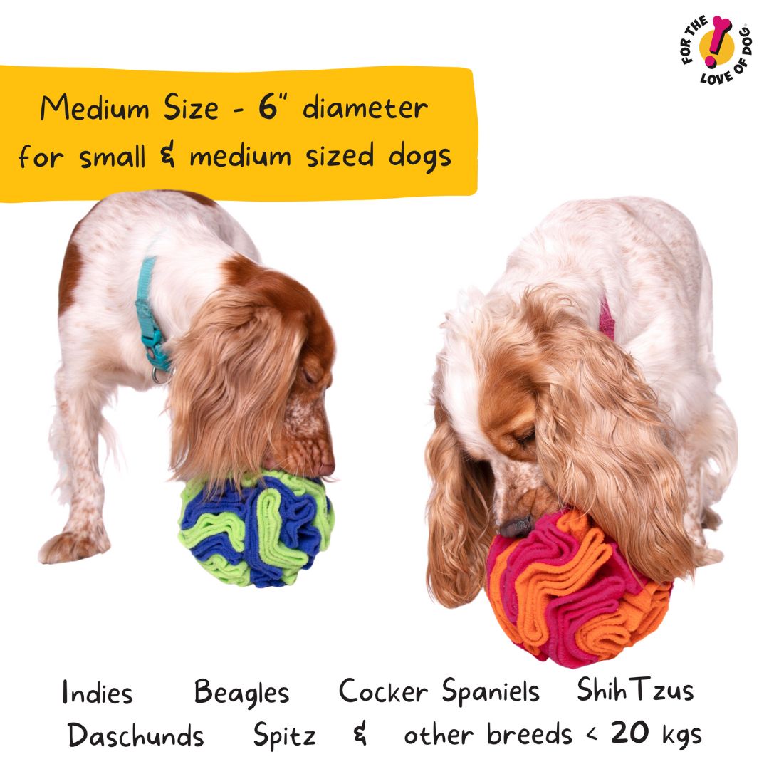 For The Love Of Dog Enrichment Toy for Dogs Sniffer Ball