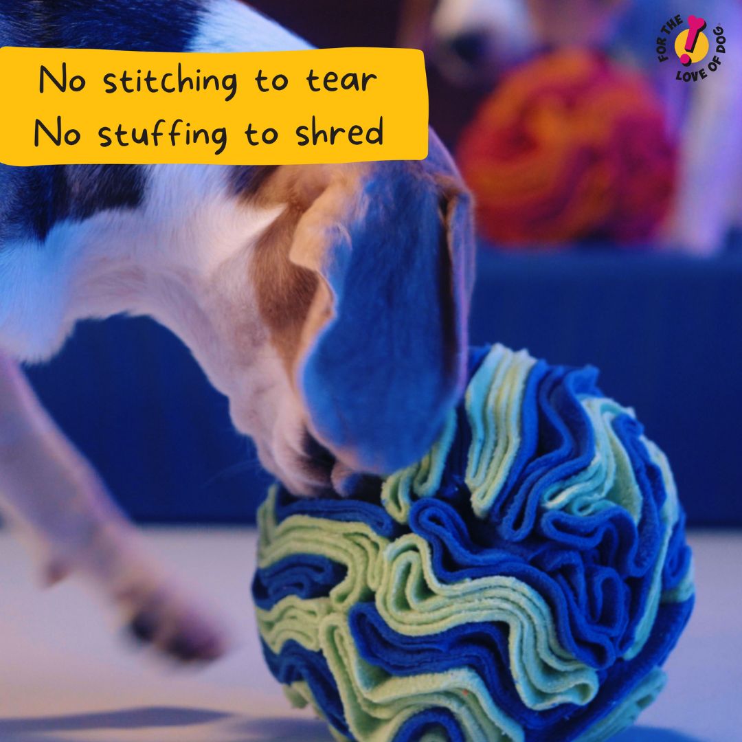 For The Love Of Dog Enrichment Toy for Dogs Sniffer Ball