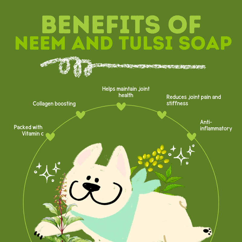 Happy Puppy Organics Neem and Tulsi Soap for Dogs