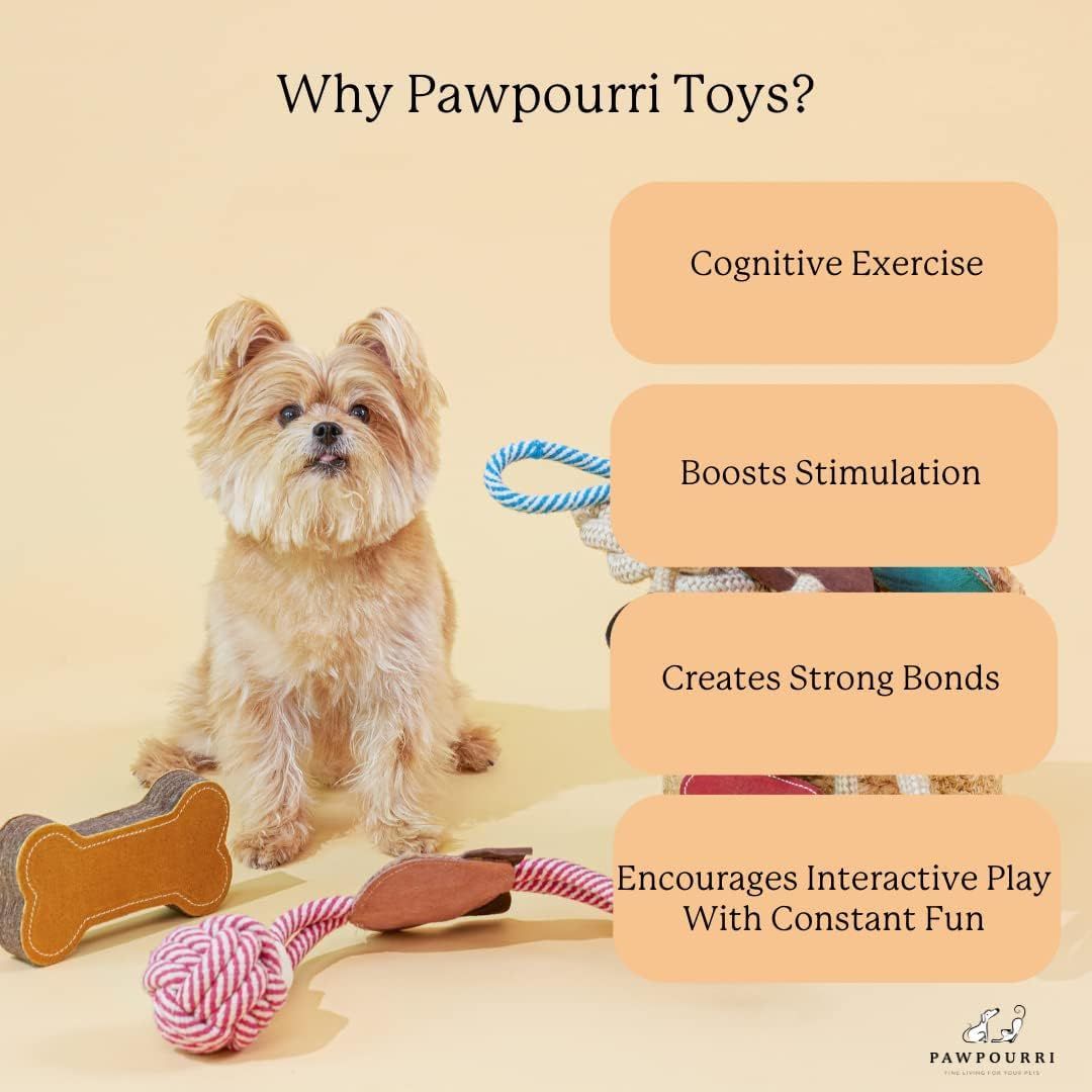 Pawourri Fruit Shaped Rope Toy for Dogs