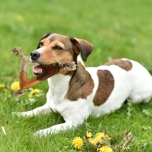 Pawourri Suede Leather Dog Chew Toy for Dogs