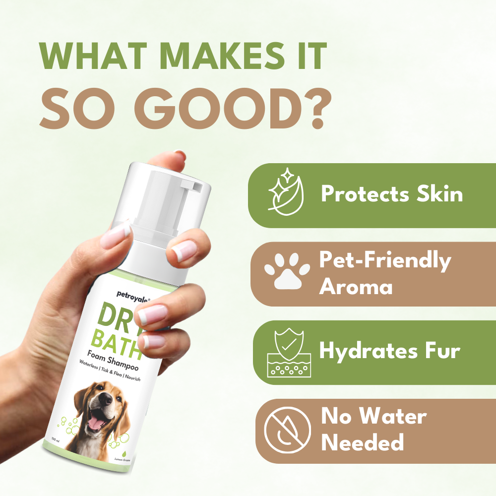 Petroyale Dry Bath Foam Shampoo for Dogs