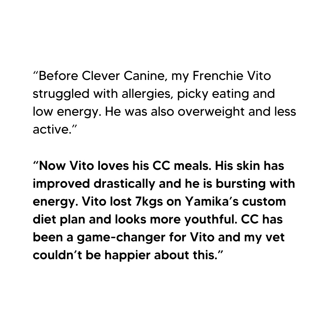 Custom Diet Chart Consultation for Adult Dogs