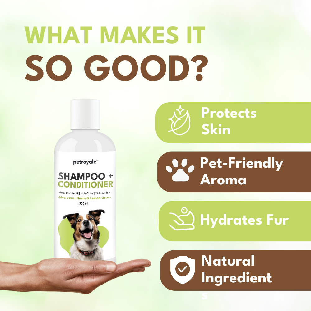 Petroyale Shampoo + Conditioner for Dogs