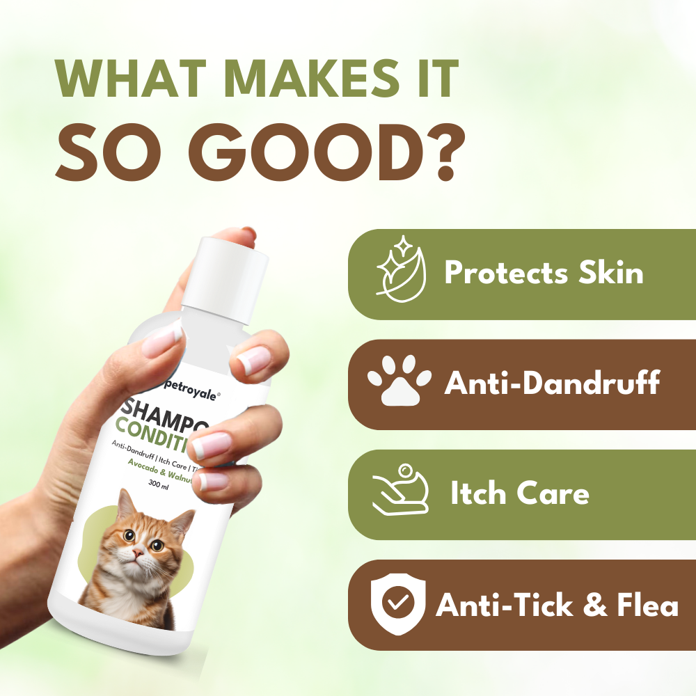 Petroyale Shampoo + Conditioner for Cats