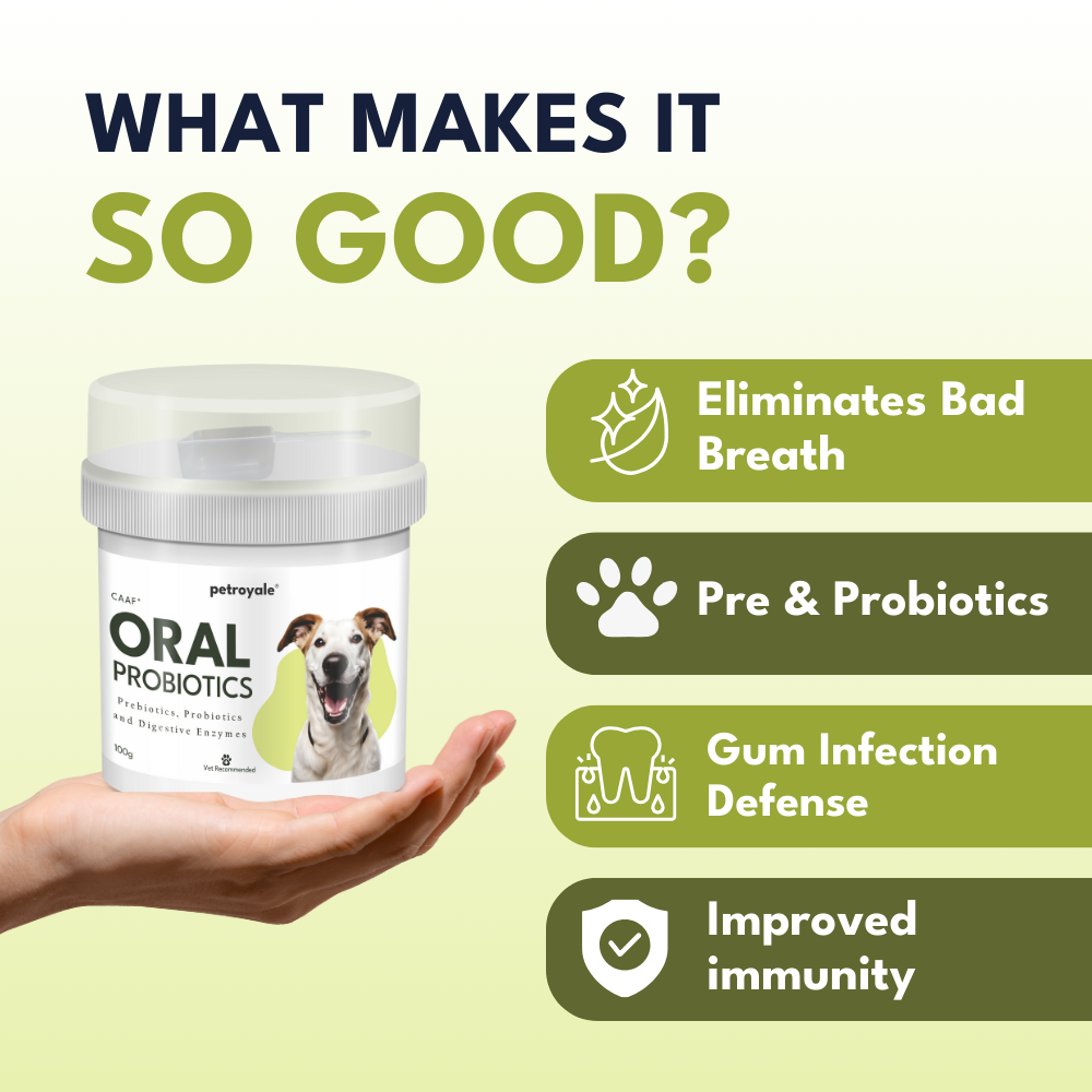 Petroyale Oral Probiotics Supplement for Dogs