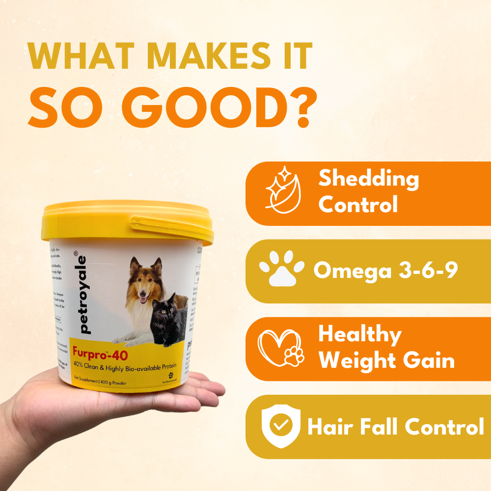 Petroyale FurPro-40 Shedding Control & Coat Vitalizer for Dogs and Cats