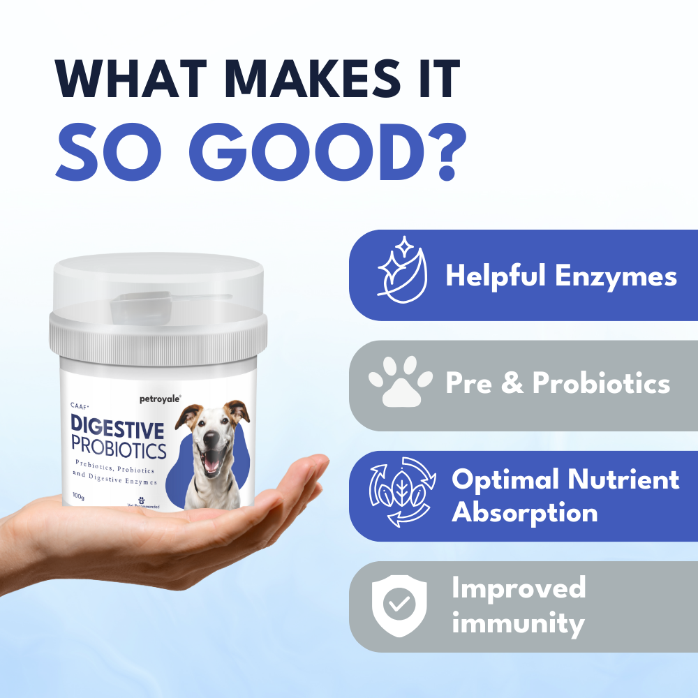 Petroyale Digestive Probiotics for Dogs