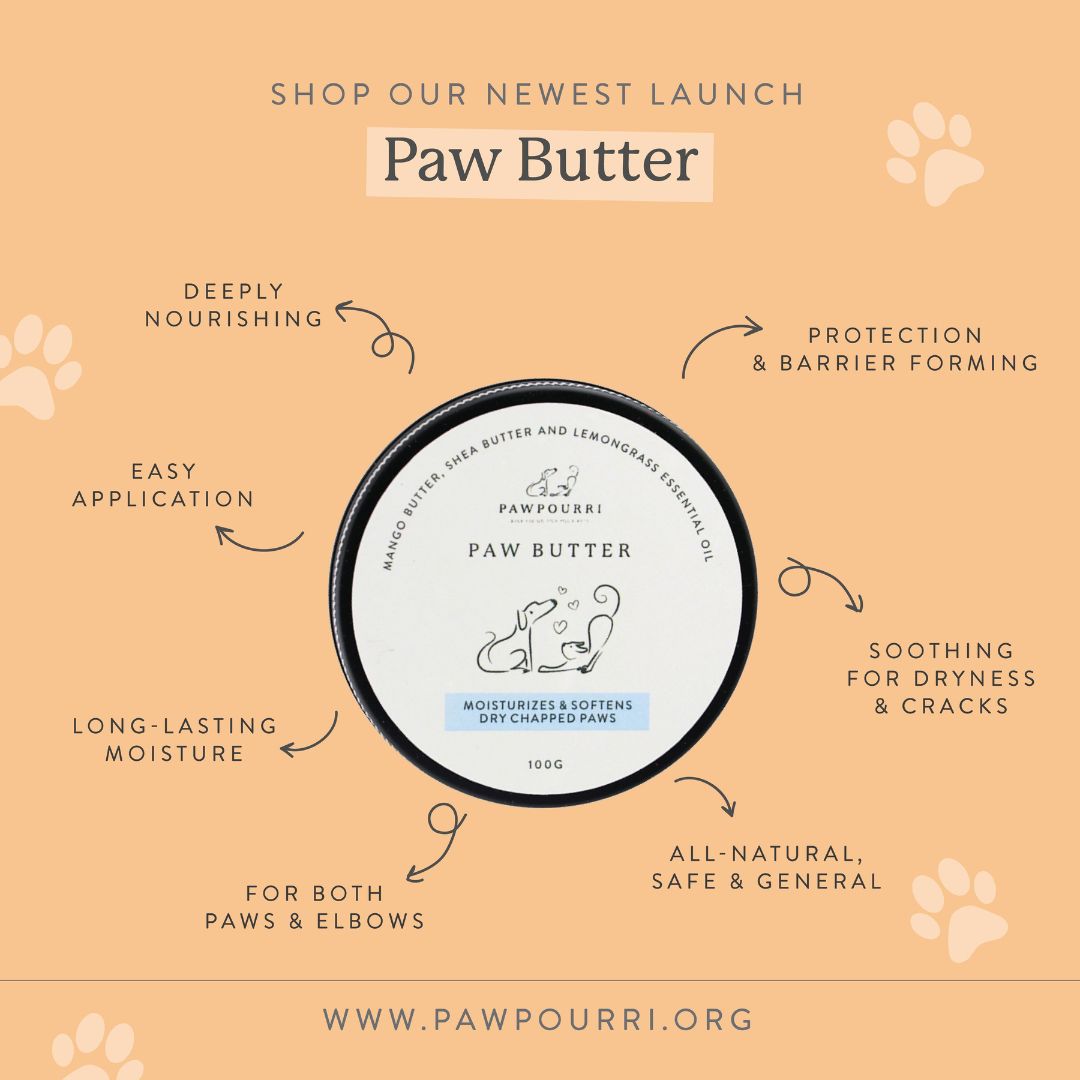 Pawpourri Paw Butter for Dogs and Cats