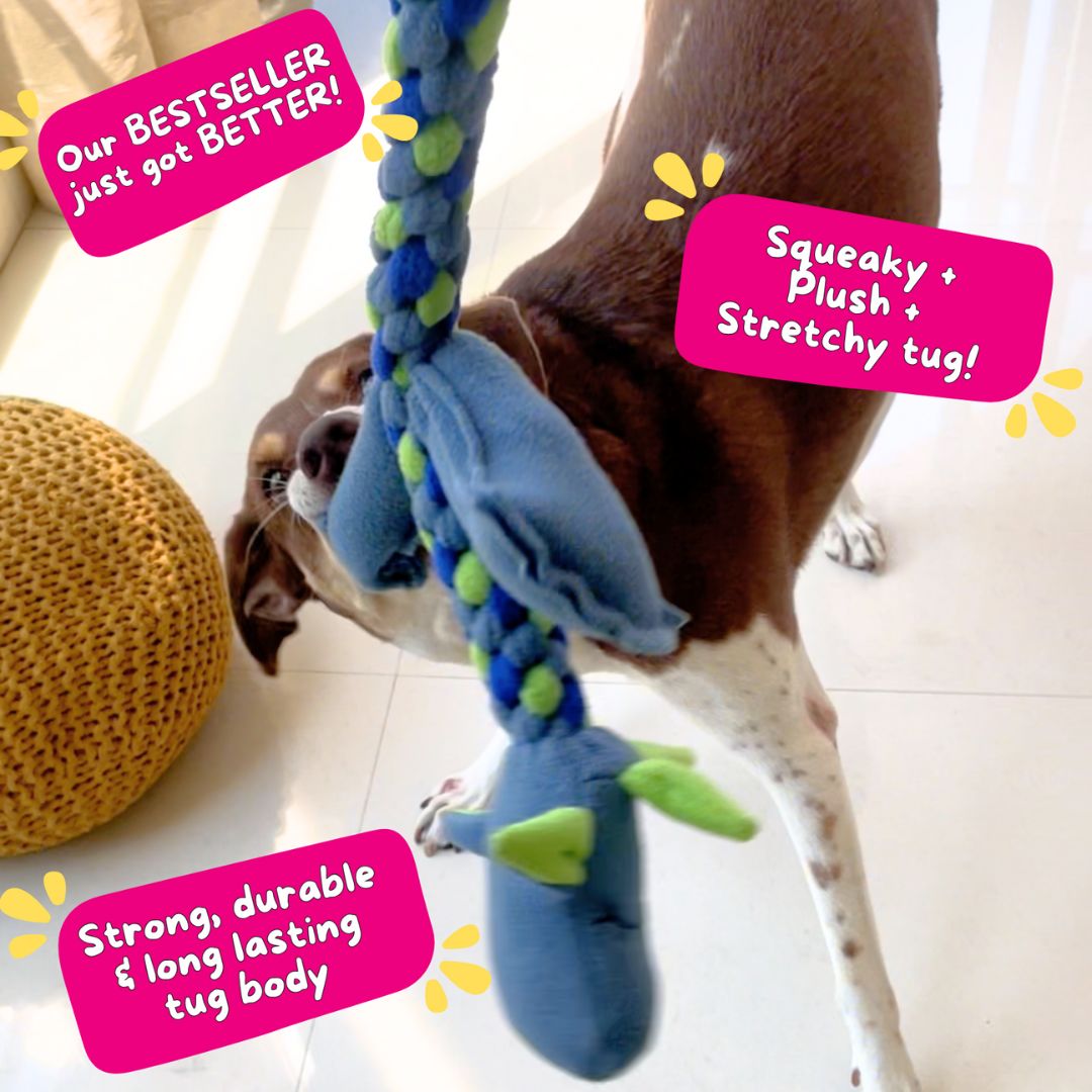For The Love Of Dog Interactive Toy for Dogs Tugasaur