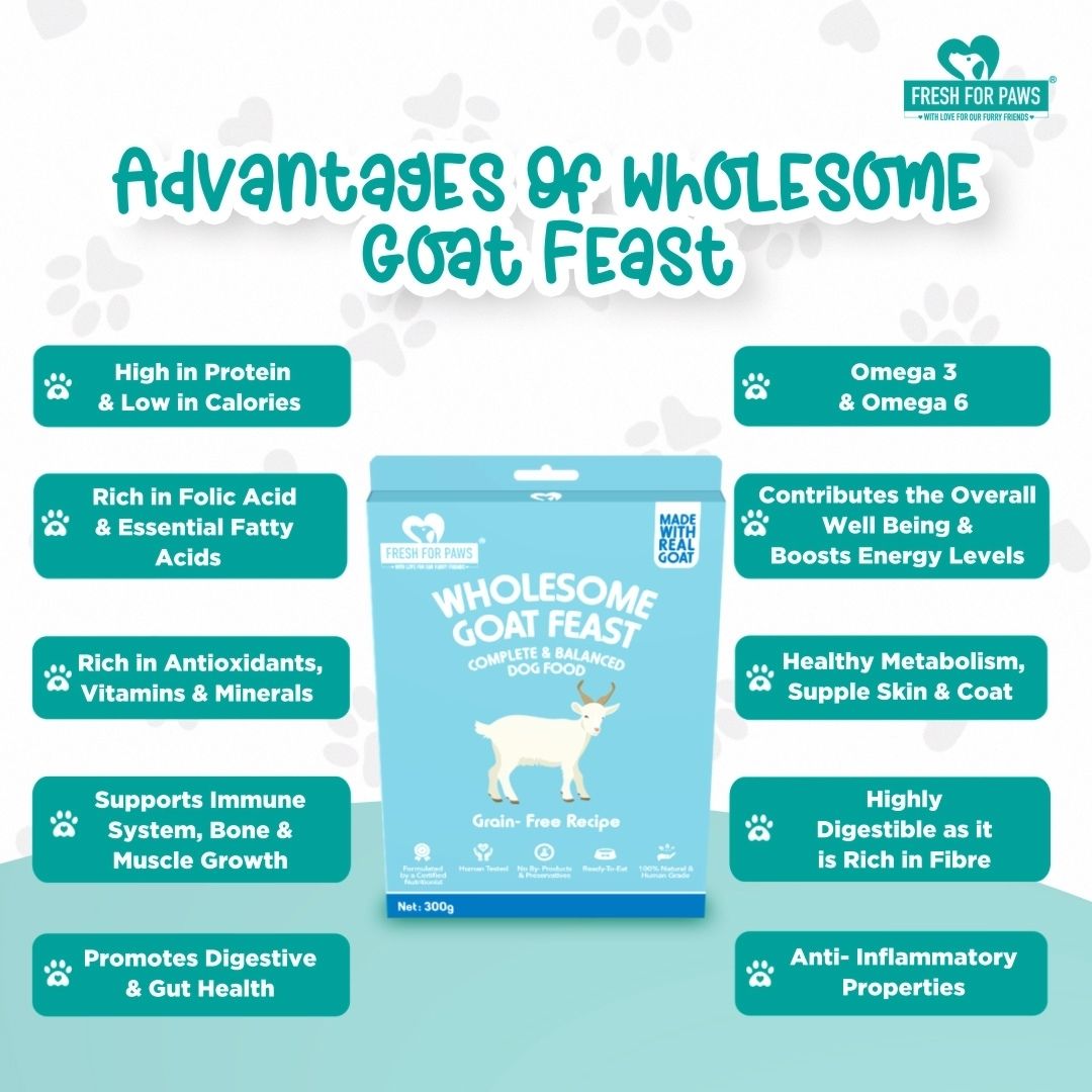 Fresh For Paws Wet Food for Dogs - Wholesome Goat Feast