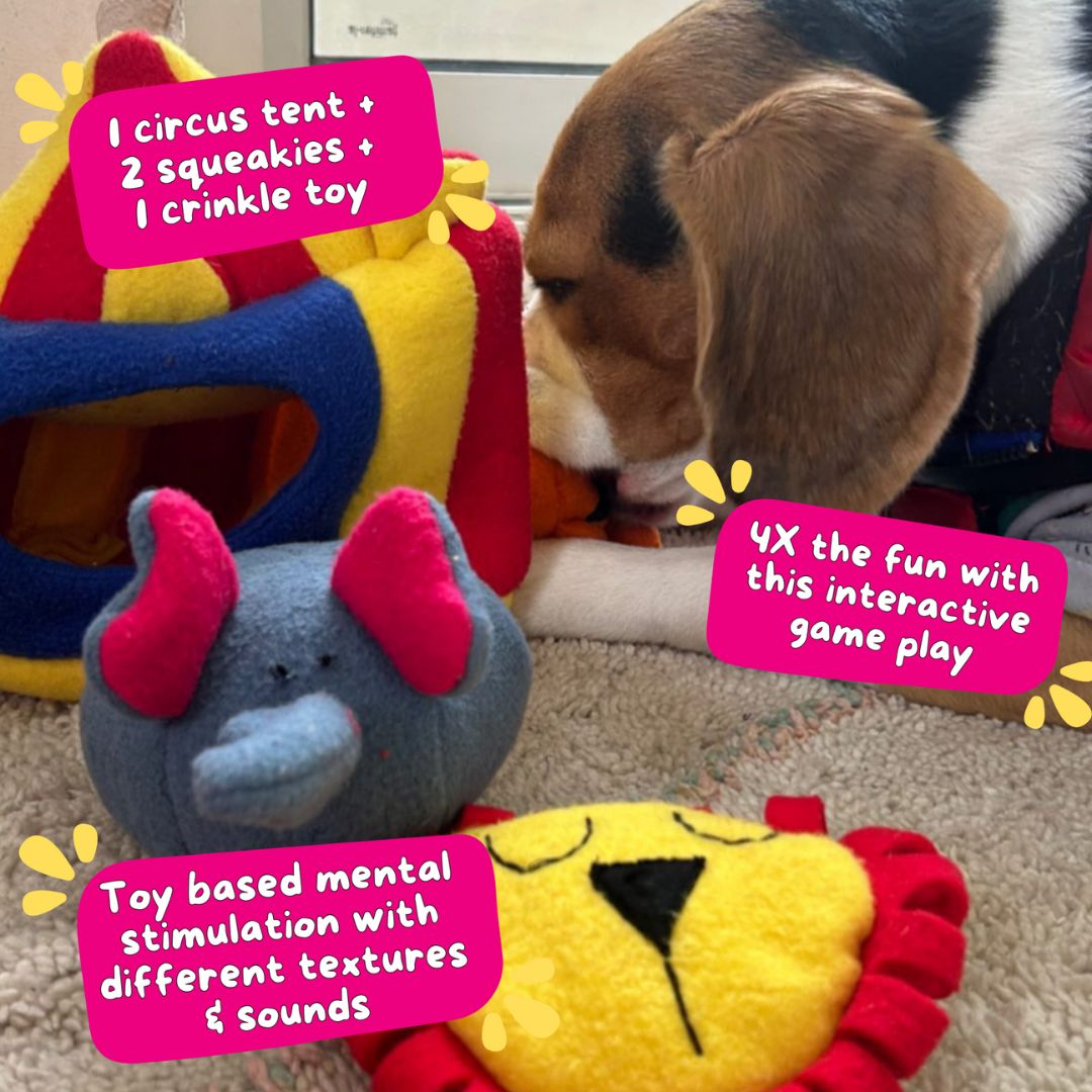 For The Love Of Dog Enrichment Toy for Dogs Hide & Seek Squeaky Circus