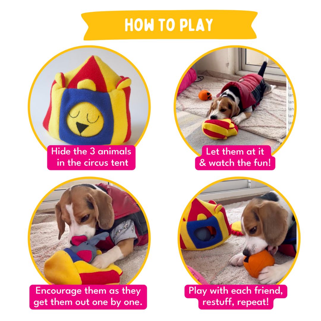 For The Love Of Dog Enrichment Toy for Dogs Hide & Seek Squeaky Circus