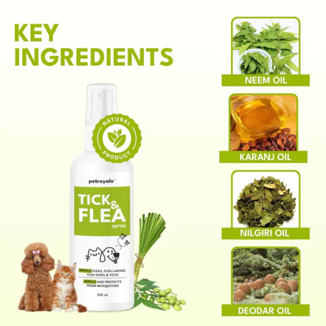 Petroyale Tick & Flea Spray for Dogs and Cats - 100ml