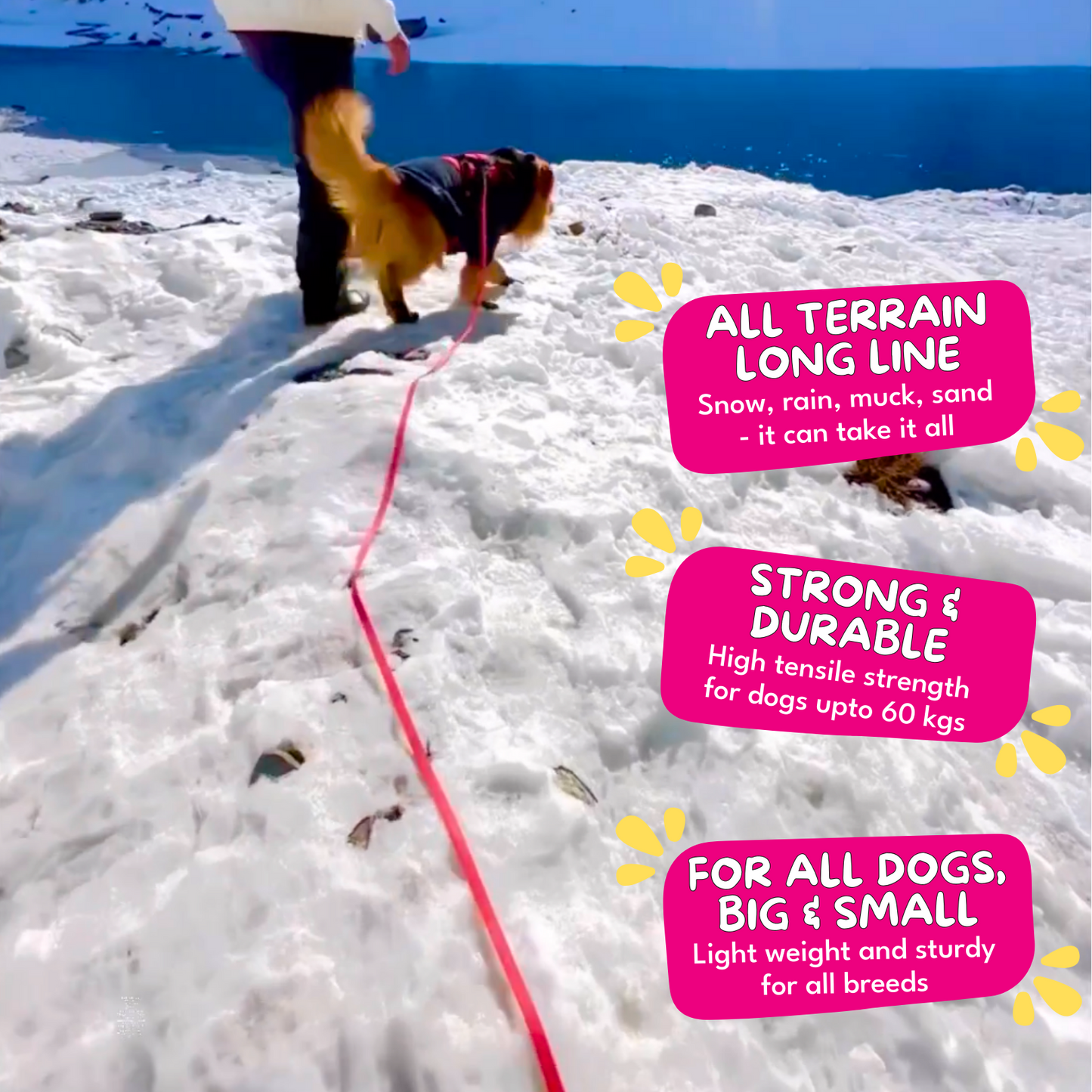 For The Love Of Dog Long Line Leashes for Dogs