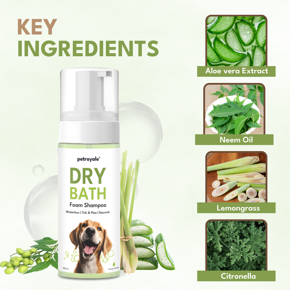 Petroyale Dry Bath Foam Shampoo for Dogs