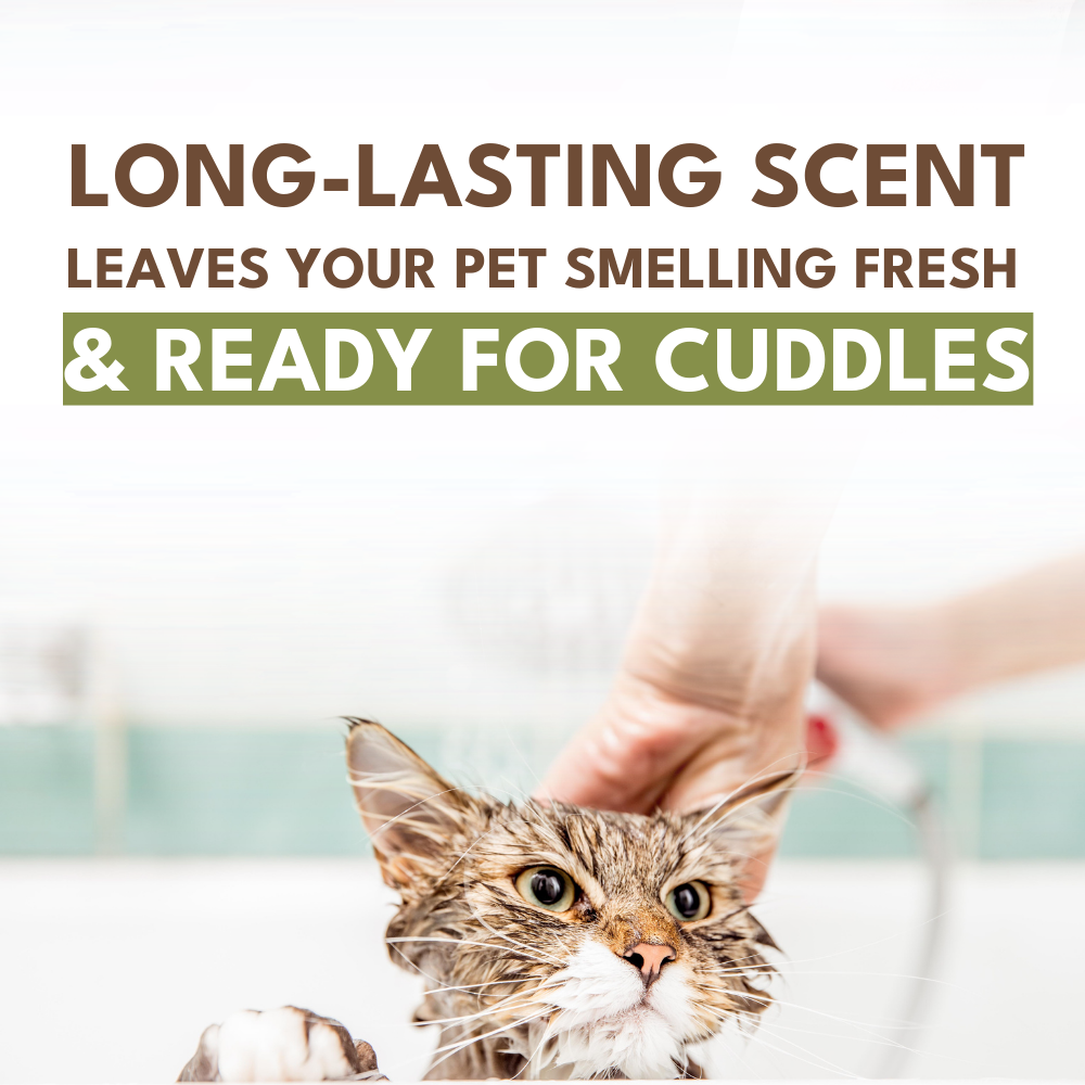 Petroyale Shampoo + Conditioner for Cats