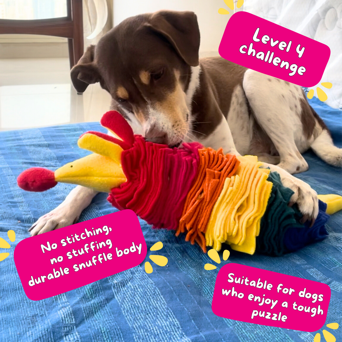 For The Love Of Dog Challenging Enrichment Toy for Dogs Rainboo Snuffle