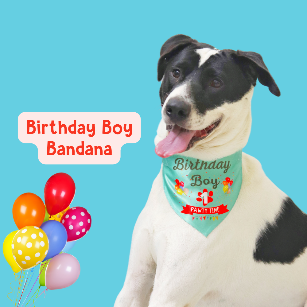 Barkday Bandana
