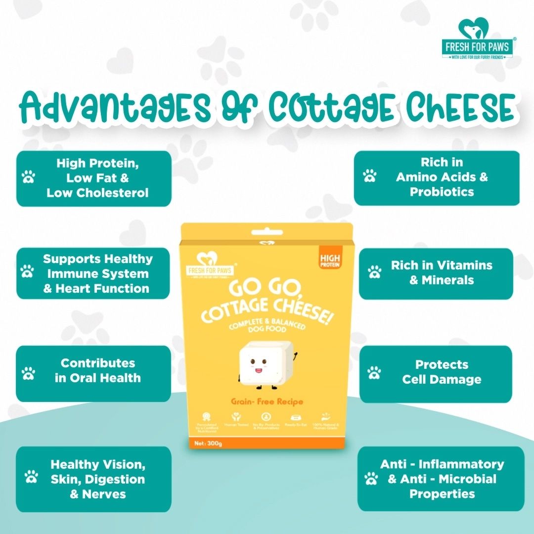 Fresh For Paws Wet Food for Dogs - Go, Go, Cottage Cheese