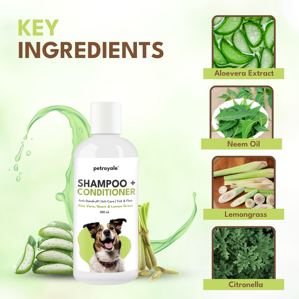 Petroyale Shampoo + Conditioner for Dogs