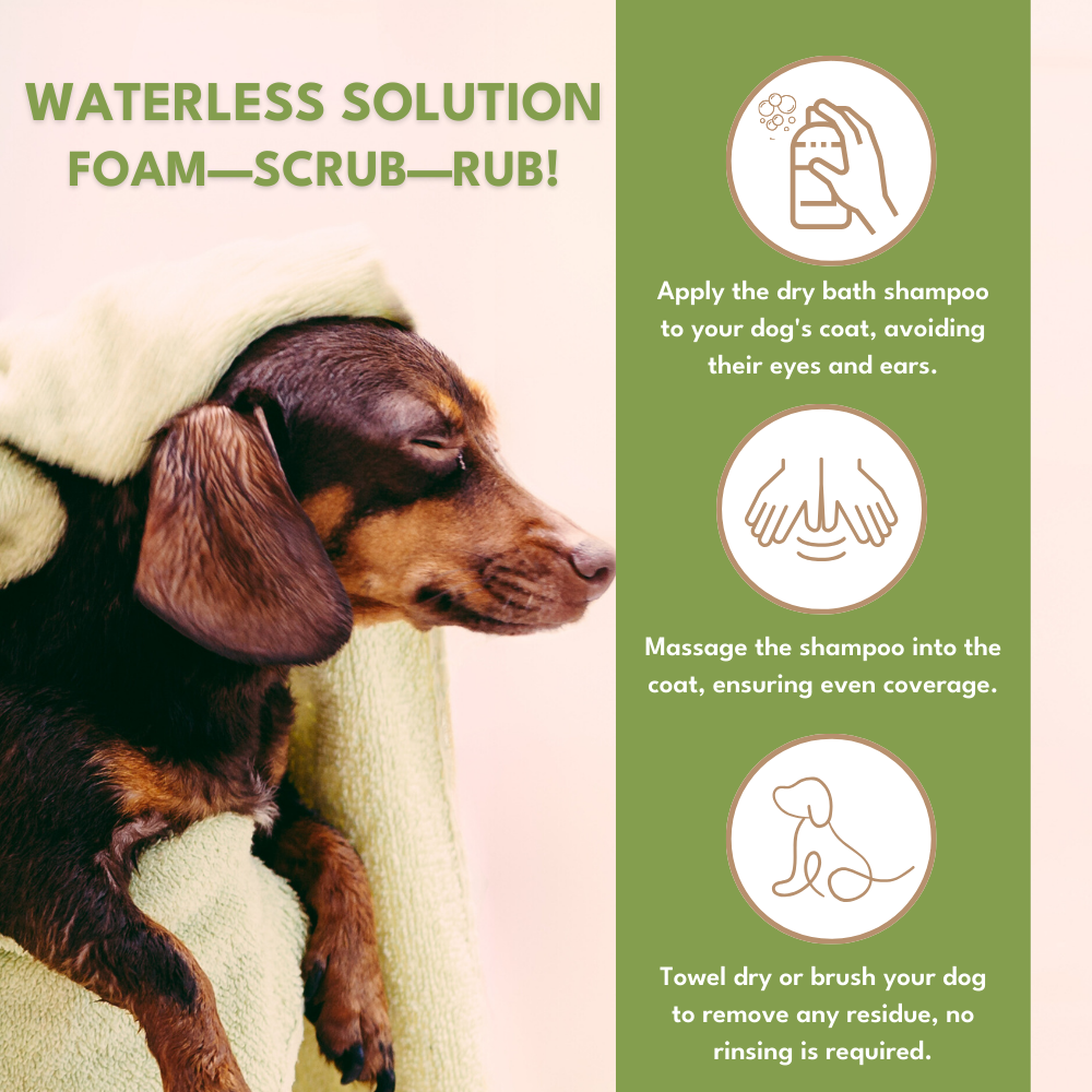 Petroyale Dry Bath Foam Shampoo for Dogs