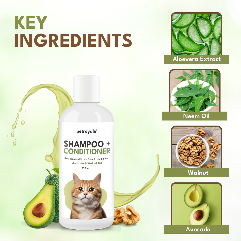 Petroyale Shampoo + Conditioner for Cats
