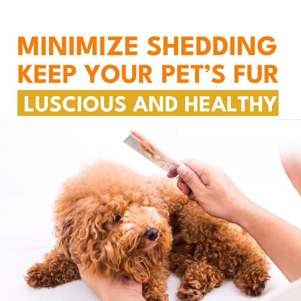 Petroyale FurPro-40 Shedding Control & Coat Vitalizer for Dogs and Cats