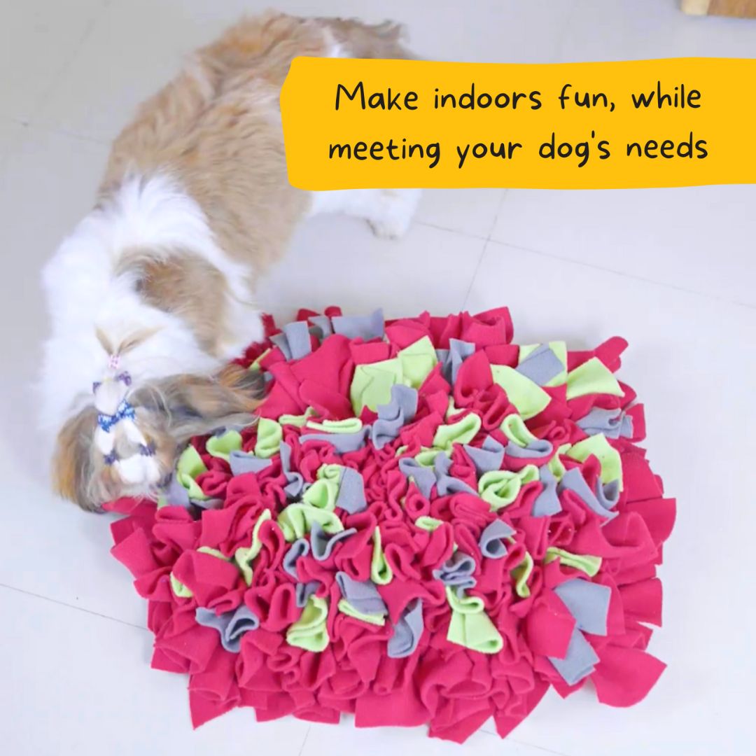 For The Love Of Dog Enrichment Toy for Dogs Sniffer Mat